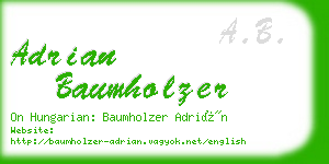 adrian baumholzer business card